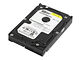 Western Digital Caviar WD800BD