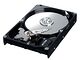 Samsung Spinpoint S166 HD042GJ