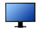 Samsung SyncMaster 305T